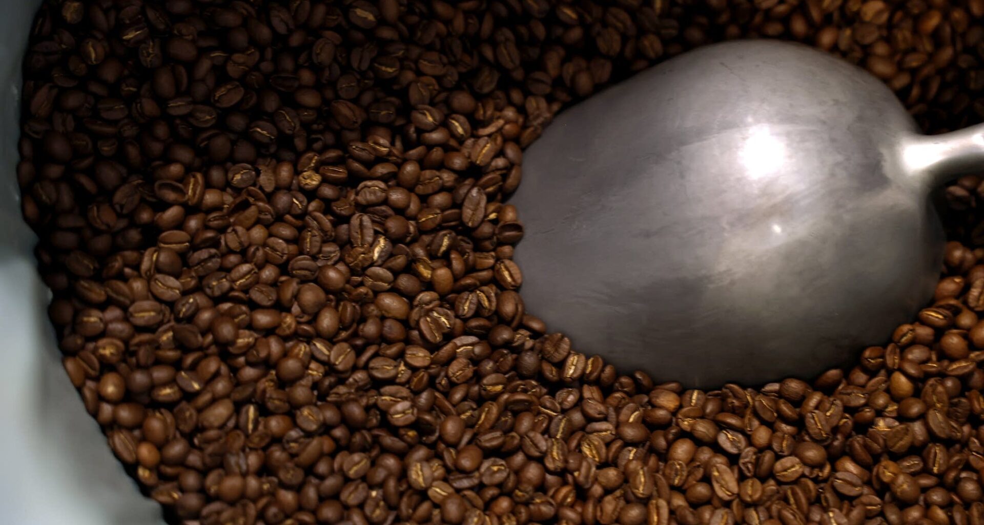 Graffeo is San Francisco's oldest coffee roaster — and David Brancaccio is a big fan.