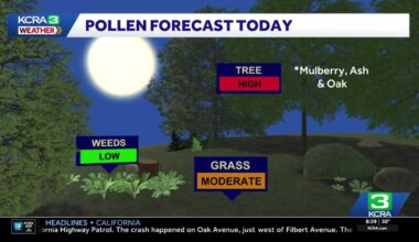 Why Thursday could be a rough day for allergy sufferers