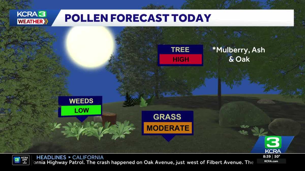 Why Thursday could be a rough day for allergy sufferers