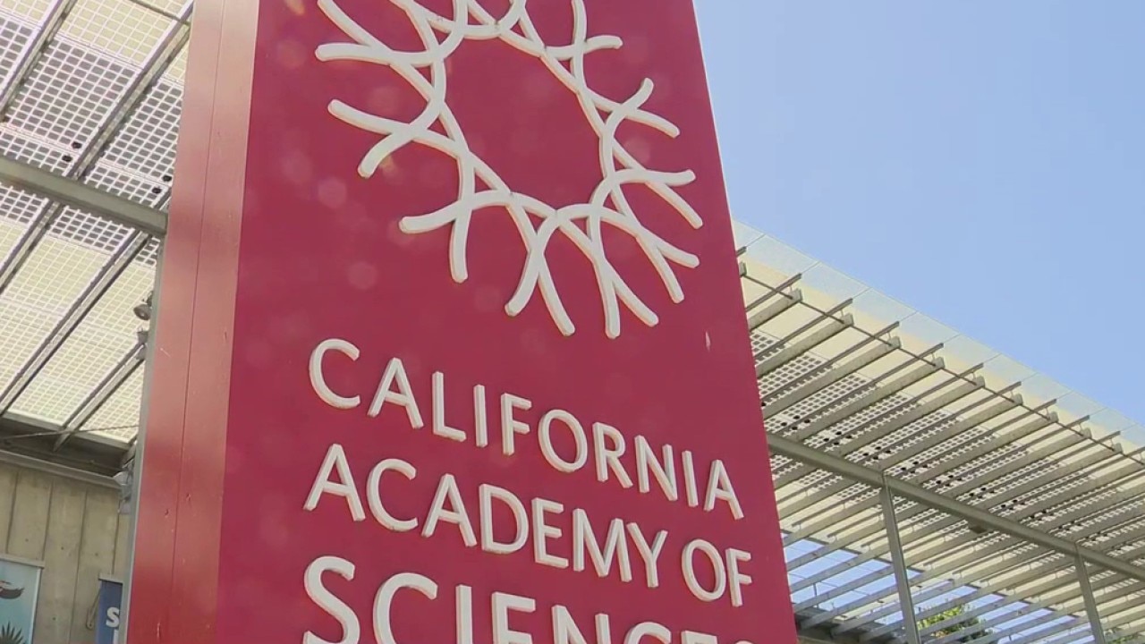 California Academy of Science cuts jobs, cites multi-million dollar deficit