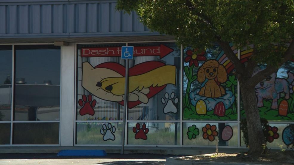 Family-owned Sorella Ristorante burglarized; suspect entered through smashed window, video shows{ }(KBAK/KBFX){p}{/p}
