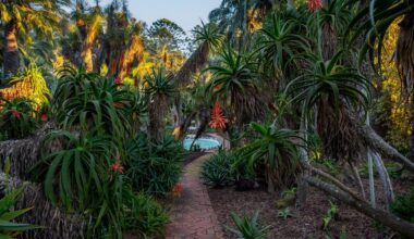 All About Madame Ganna Walska's Lotusland Gardens in Montecito, California