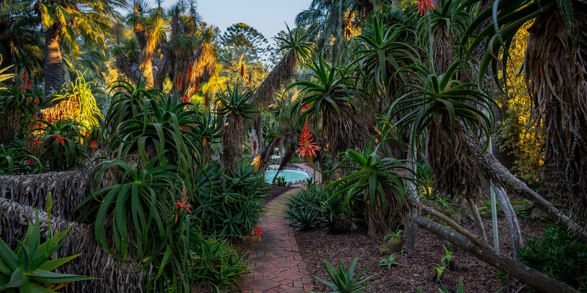 All About Madame Ganna Walska's Lotusland Gardens in Montecito, California