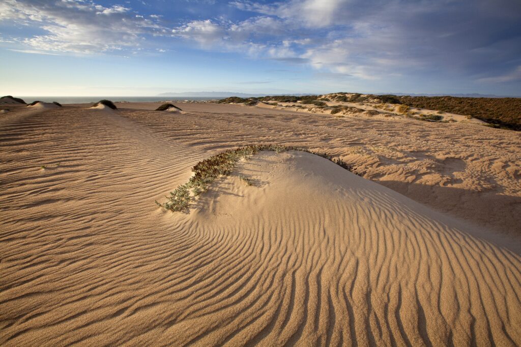 A landscape image showing sand dunes, with swirling sunlit sand and blue skies.