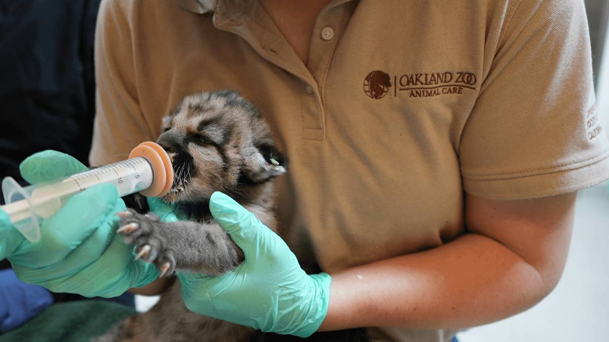 Yahoo lifestyle home