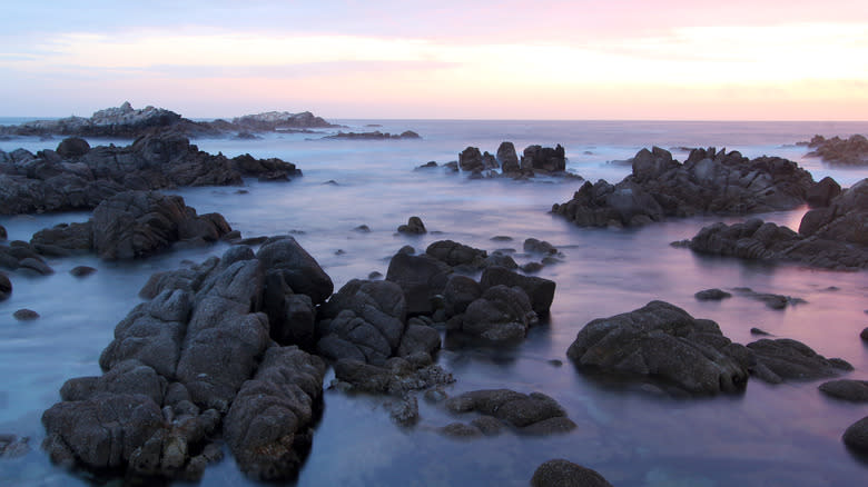 Rocks at low tide at Asilomar State Beach