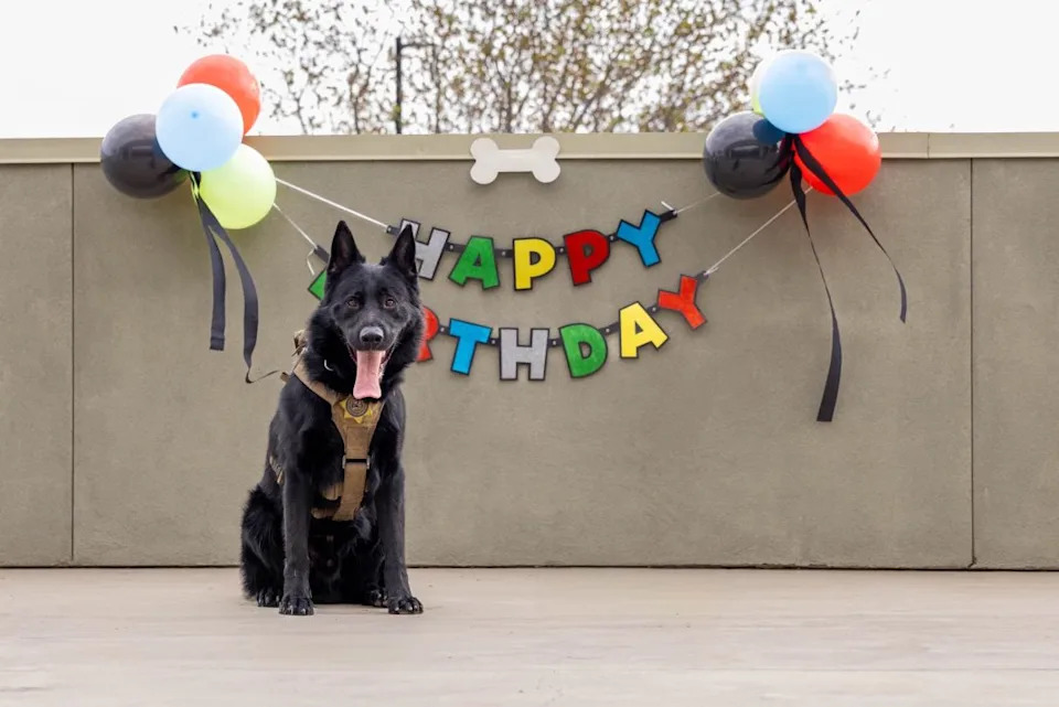 Photo courtesy of the Kern County Probation Department