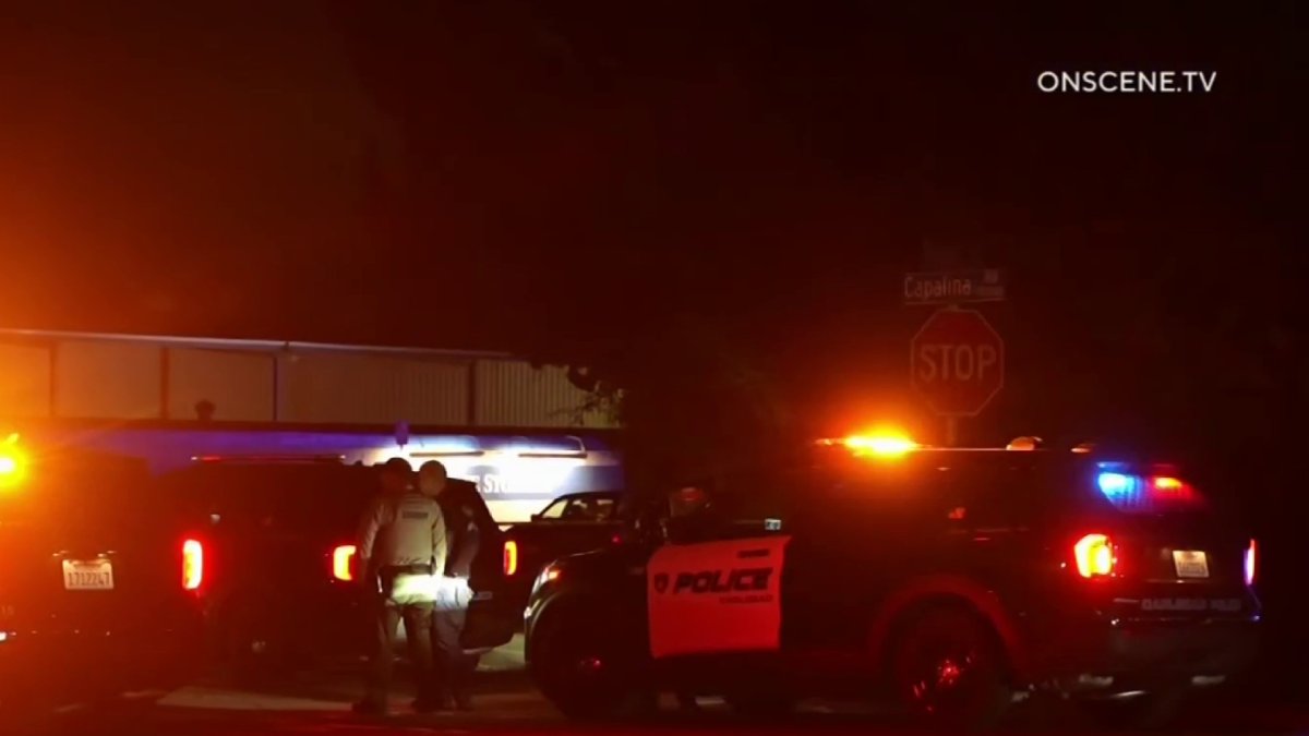 Suspect arrested after deadly San Marcos hit-and-run in February – NBC 7 San Diego