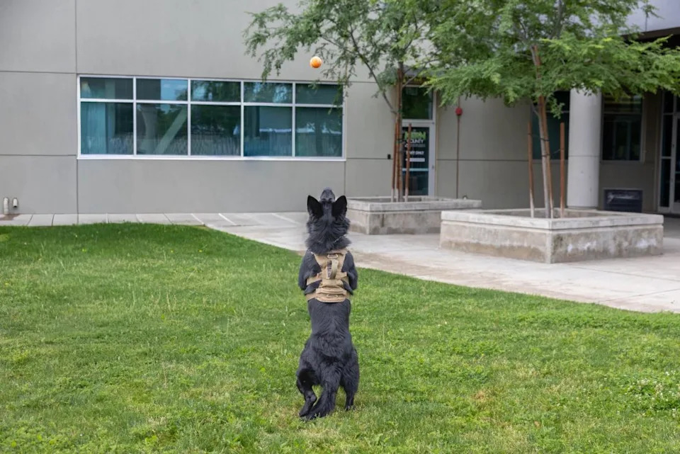 Photo courtesy of the Kern County Probation Department