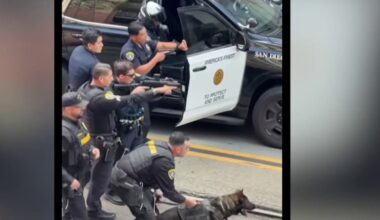 Neighbor records dramatic arrest after Petco parking lot attendant was attacked – NBC 7 San Diego