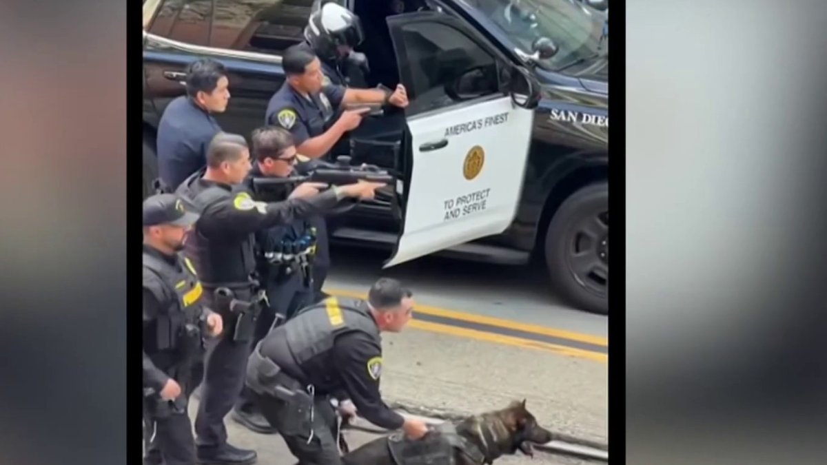 Neighbor records dramatic arrest after Petco parking lot attendant was attacked – NBC 7 San Diego