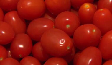 Soaring tomato prices eating into some San Diego restaurant’s profits – NBC 7 San Diego