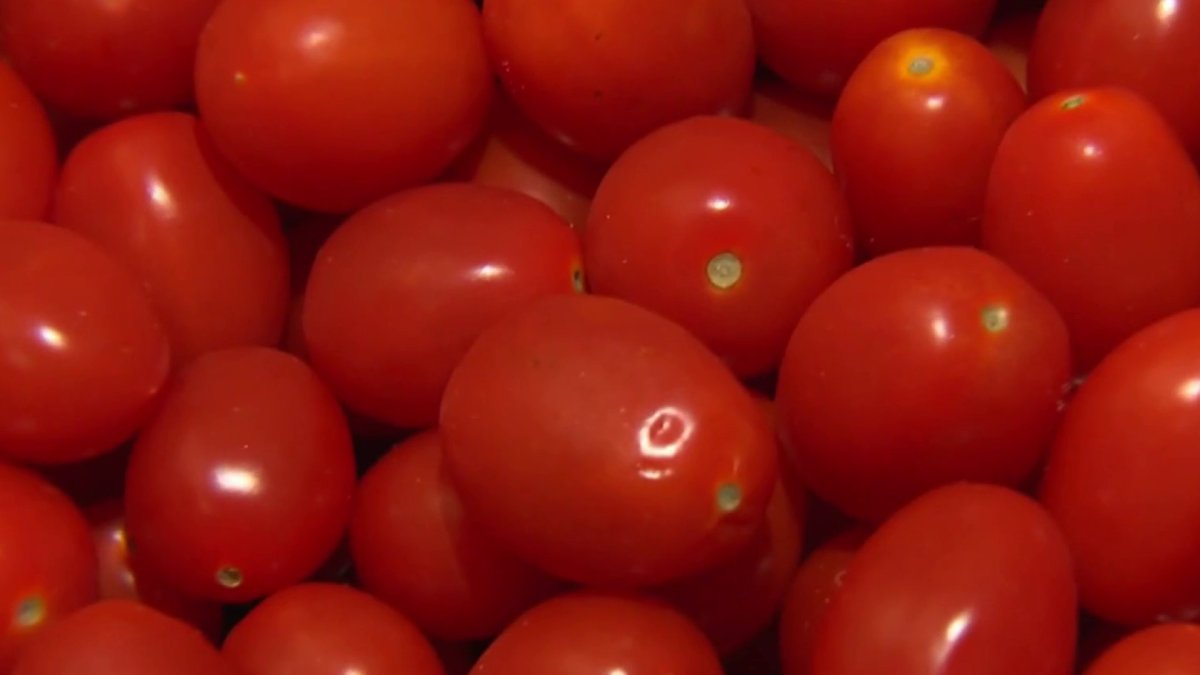 Soaring tomato prices eating into some San Diego restaurant’s profits – NBC 7 San Diego