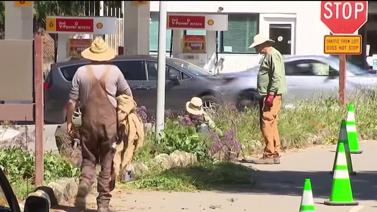 Earth Week cleanup at Arroyo Viejo Creek in Oakland – NBC Bay Area