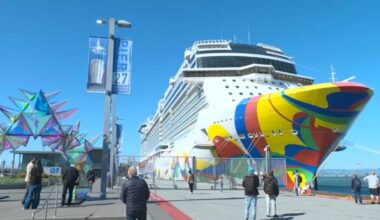 Cruise ship passengers arriving in San Francisco held up by customs – NBC Bay Area
