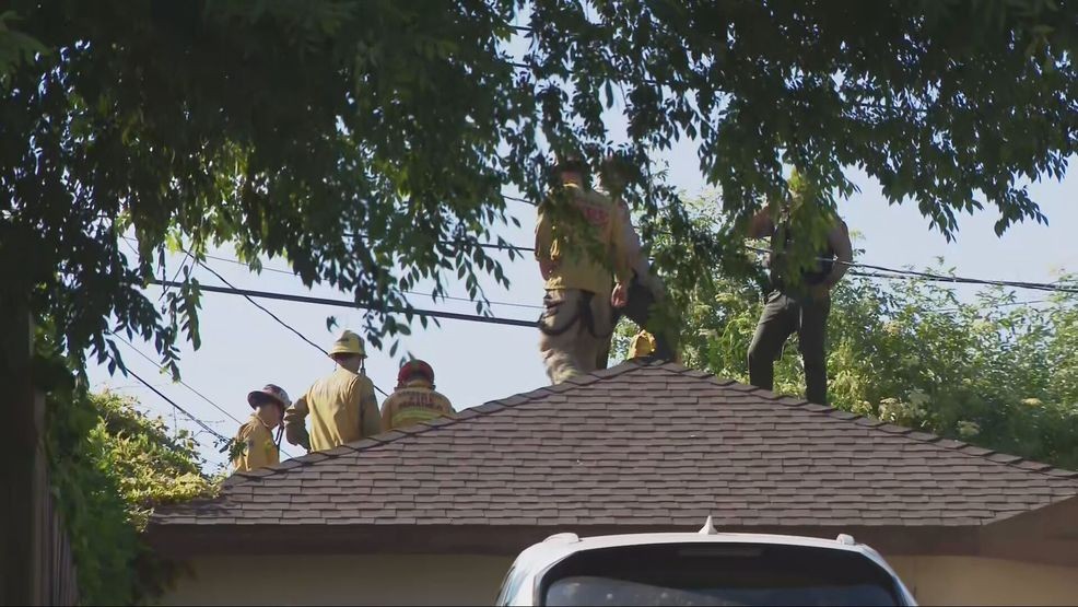 A boy was rescued after being stuck inside a chimney at a northeast Bakersfield home Wednesday afternoon. PHOTO: KBAK/KBFX