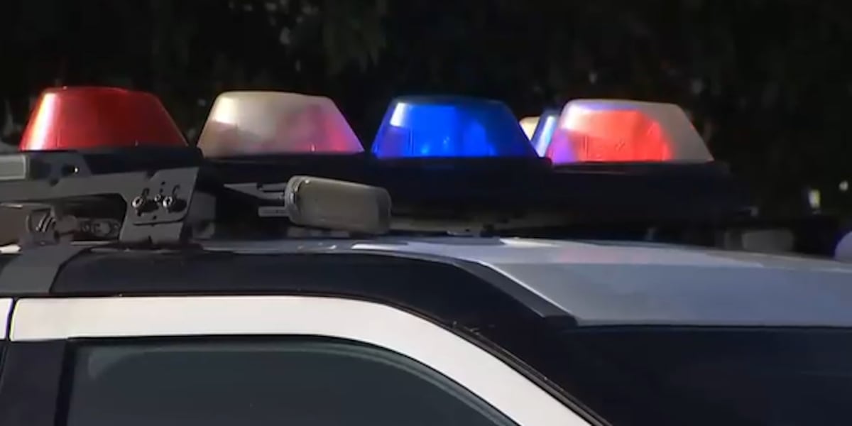 Man arrested in California following deadly Las Vegas house party shooting