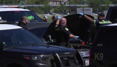 Sacramento deputies fatally shoot man on I-5 after chase