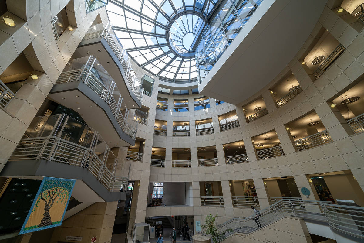 The San Francisco Symphony Is Hosting Free Concerts At Local Libraries This April — How To See These World-Class Musicians For $0