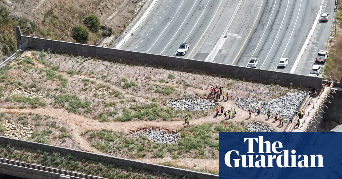 California’s wildlife bridge became a target for the right. Now it’s eyeing the finish line | California
