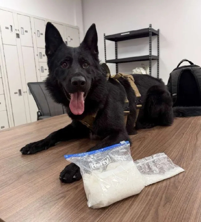 Photo courtesy of the Kern County Probation Department