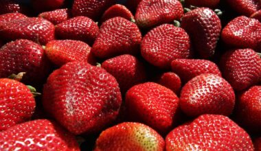 What's cooking: Enjoy spring dishes from Guild House | Bakersfield Life