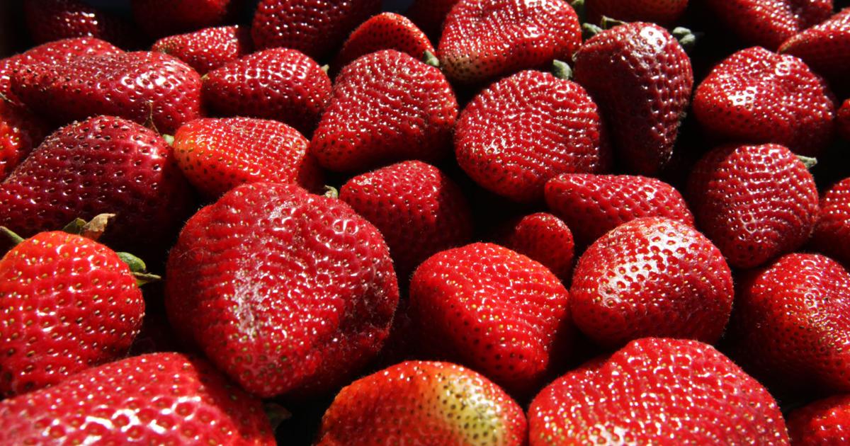 What's cooking: Enjoy spring dishes from Guild House | Bakersfield Life