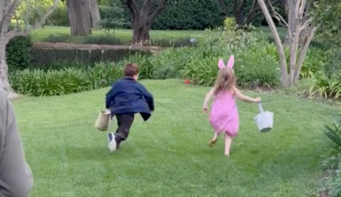 Yahoo entertainment home