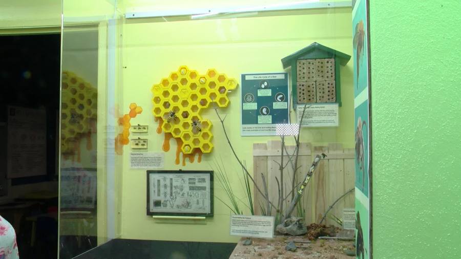 Yahoo lifestyle home