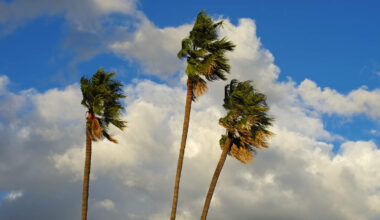 Gusty Santa Ana Winds Hit Southland; Light Rain Possible Next Week