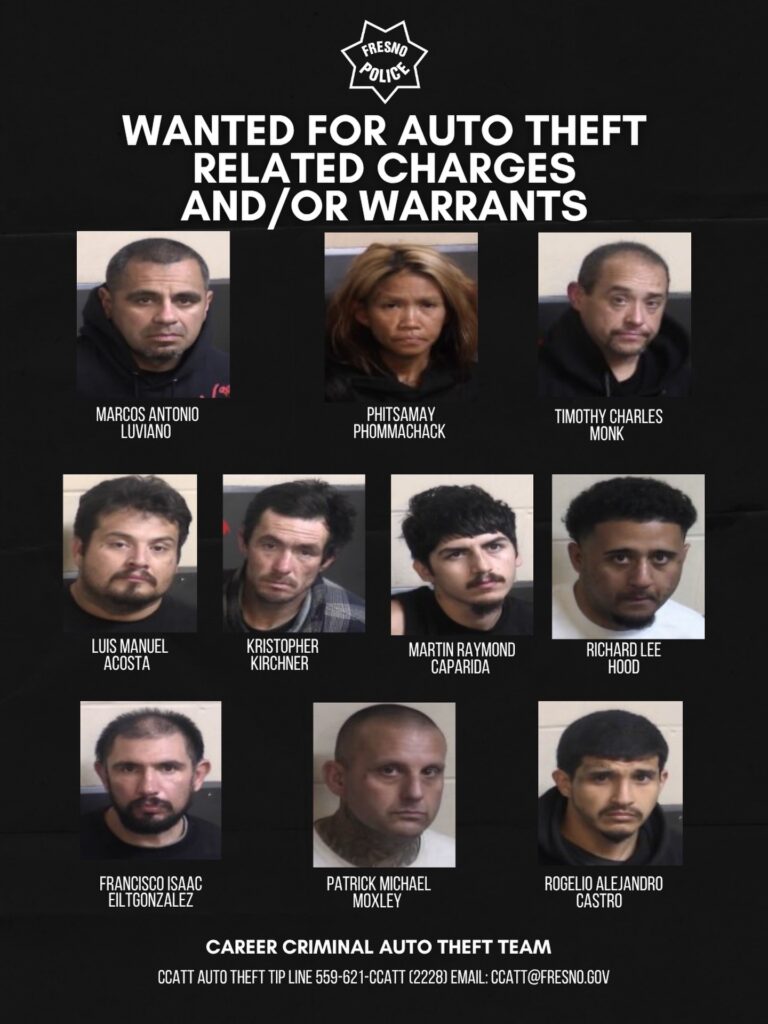 Nine suspects are wanted for auto theft related charges and/or warrants. (Fresno PD)