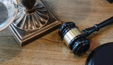Prosecutors say Wisconsin police chief helped California gun dealers' illegal ammo import scheme | Crime