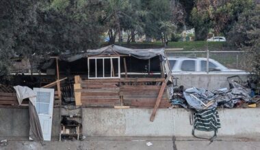 Where Council District 1 candidates stand on L.A.’s anti-camping ordinance | Government And Politics