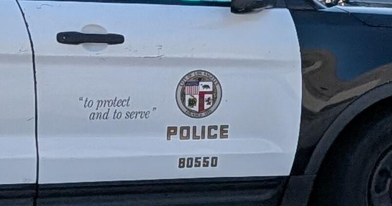 Where District 1 City Council candidates stand on hiring more police officers | Government And Politics