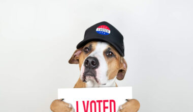 Woman Pleads Guilty to Registering Her Dog to Vote in OC