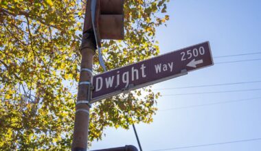 Rumors of ICE operation on Dwight and Dana unfounded | Campus