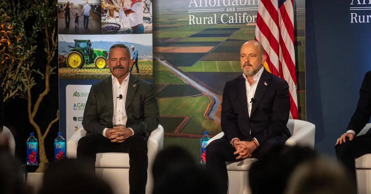 2 Republicans running for California governor: With Democrats splitting votes, a tie could be their best strategy | State