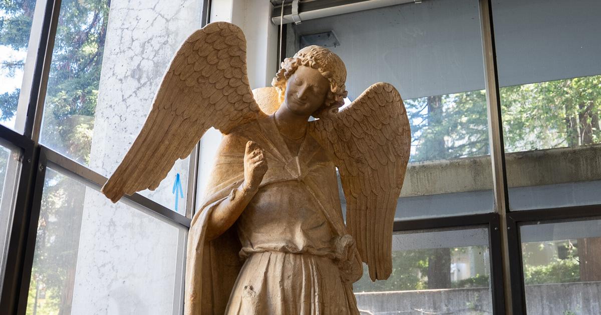 Library divinity | Commentary | dailycal.org