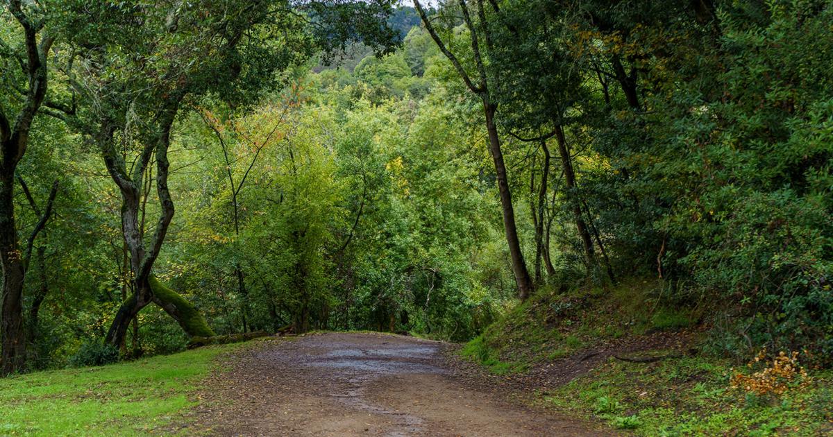 UCPD searching for potentially armed suspect on Fire Trails | Campus