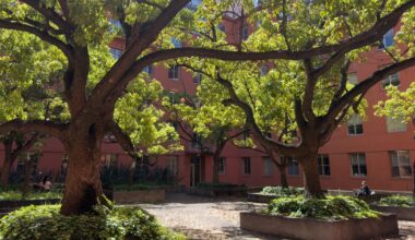 Ultimate UC Berkeley guide to survive the heat | Local Guides