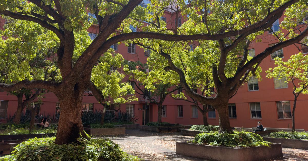 Ultimate UC Berkeley guide to survive the heat | Local Guides