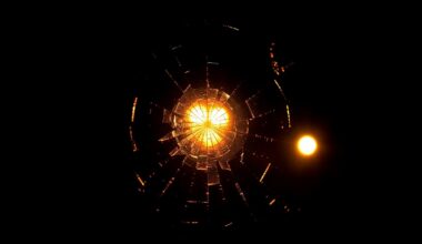 An extreme close-up photograph of shattered car window glass reflecting the faint glow of emergency lights, captured in harsh, direct flash lighting against a pitch-black background, conceptually illustrating the aftermath of a deadly crash.