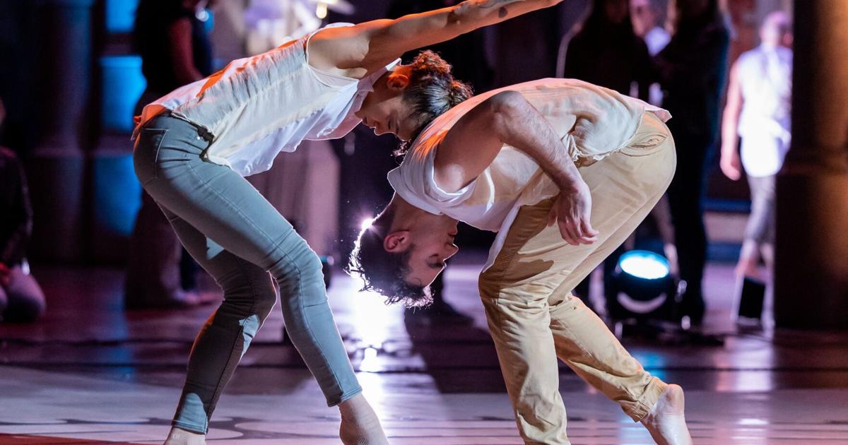 SF things to do: zoo EarthFest, ballet show and concerts | Community