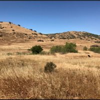 BLM announces seasonal fire restrictions for southern California | News