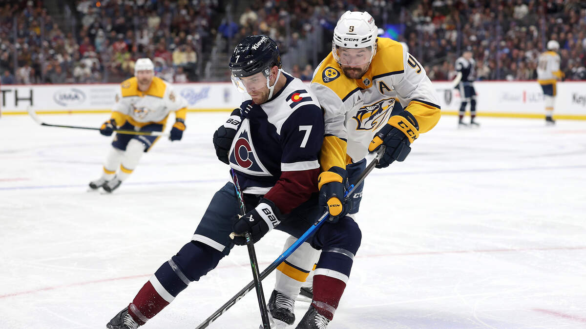 Ducks vs. Predators Prediction & Picks - April 16