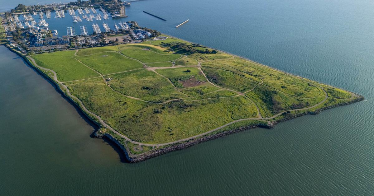 City Council moves ahead with Cesar Chavez renamings | City Government