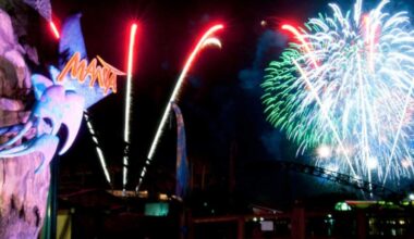 Seaworld Fireworks Show Replaced With Drones | Newsradio 600 KOGO