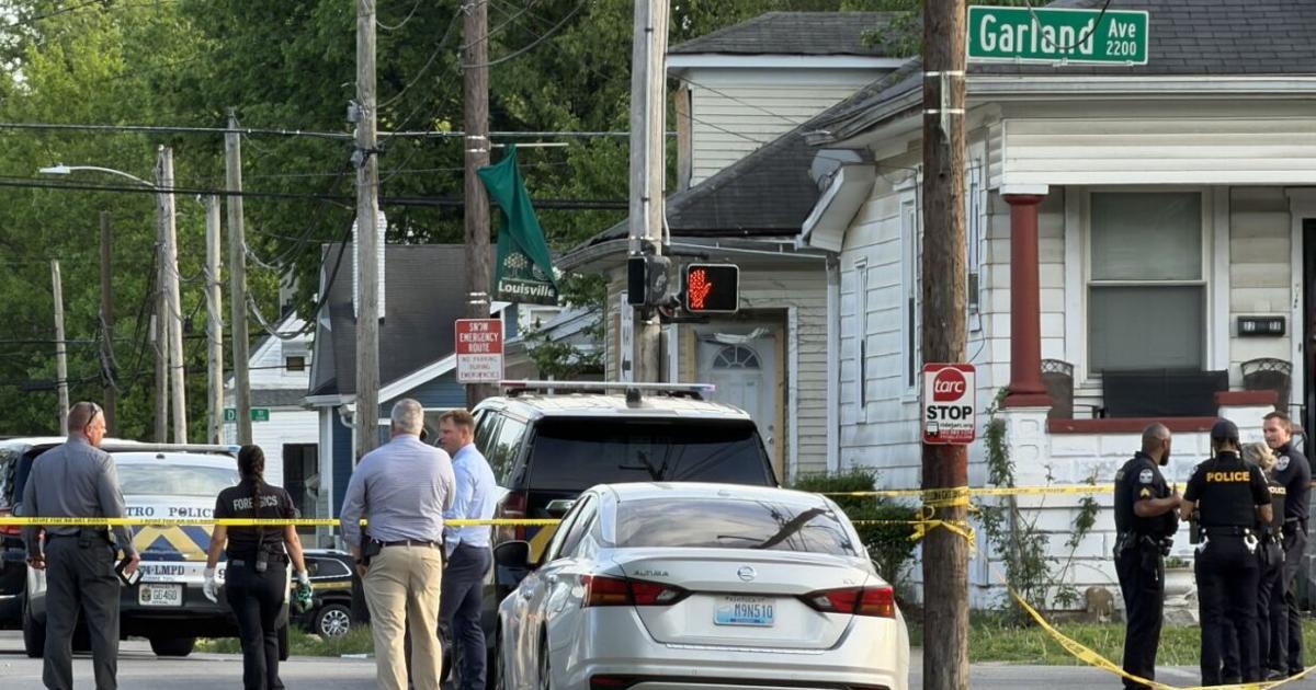 Suspect shoots himself after police chase in Louisville's California neighborhood, police say | Crime Reports