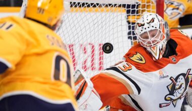 Terry's late power-play goal lifts Anaheim past Preds 5-4 setting up Ducks-Oilers | National Sports