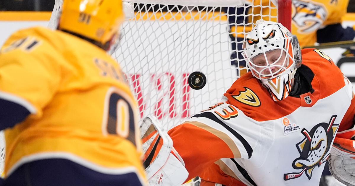 Terry's late power-play goal lifts Anaheim past Preds 5-4 setting up Ducks-Oilers | National Sports